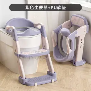 3 in 1 Potty Training