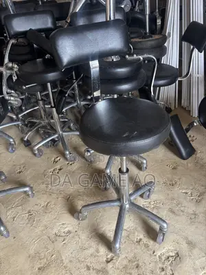 Salon /Medical Chair