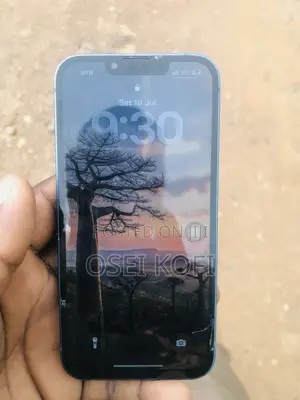 Apple iPhone 13 128 GB Blue