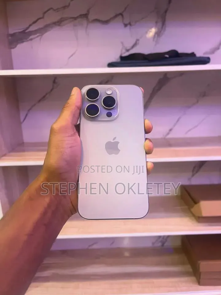 Apple iPhone 15 Pro Max 256 GB Silver