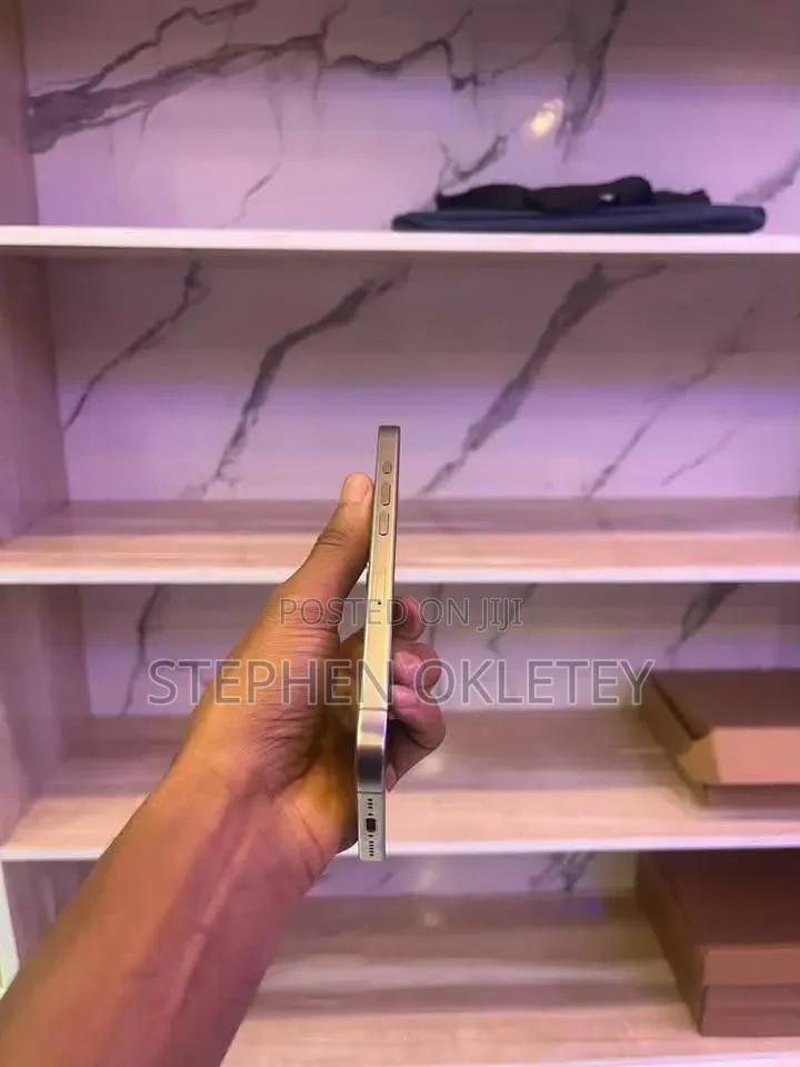 Apple iPhone 15 Pro Max 256 GB Silver