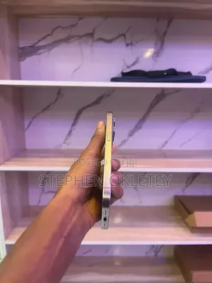 Apple iPhone 15 Pro Max 256 GB Silver