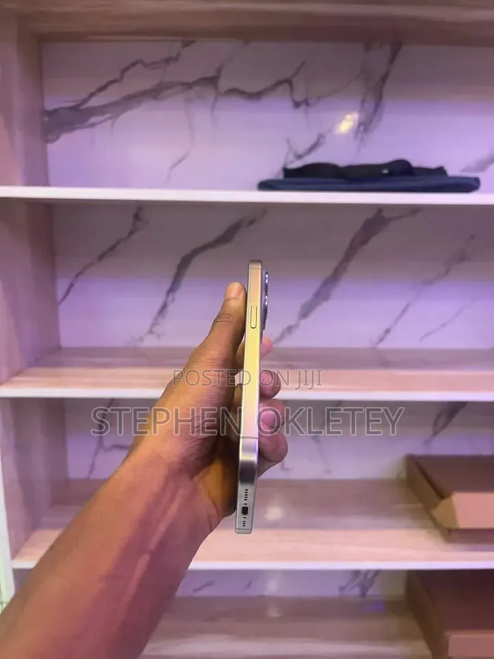 Apple iPhone 15 Pro Max 256 GB Silver
