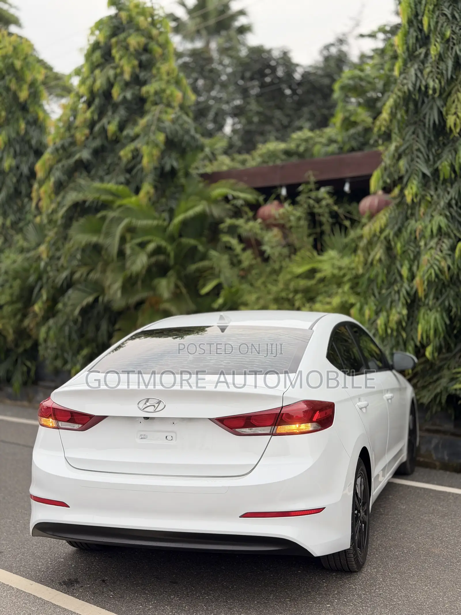 Hyundai Elantra Limited Sedan FWD (2.0L 4cyl 6A) 2017 White