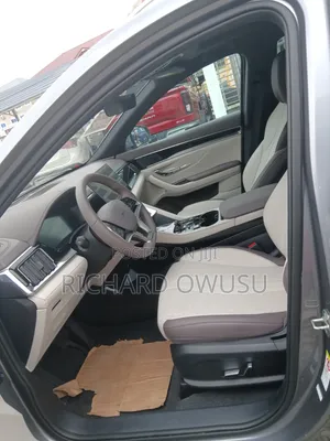 BYD Song Plus 2024 Gray