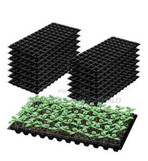 Seeds Tray for Farming