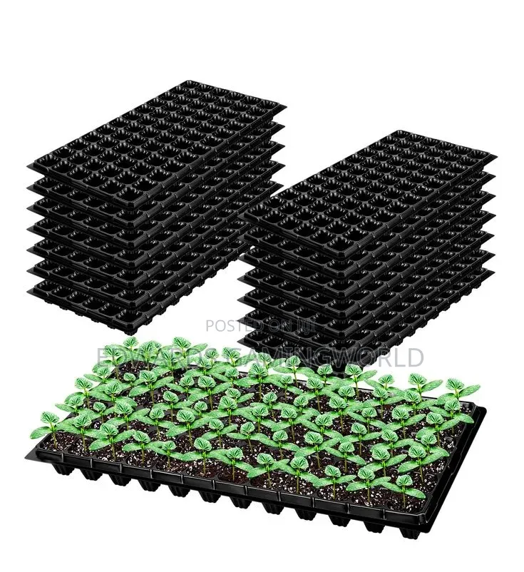 Seeds Tray for Farming