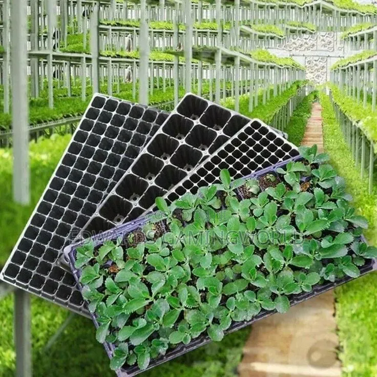 Seeds Tray for Farming