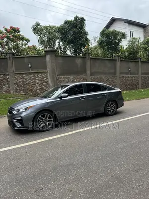 Kia Forte EX 2019 Gray