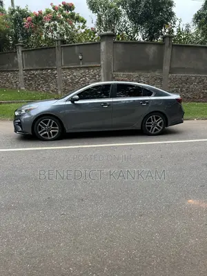 Kia Forte EX 2019 Gray