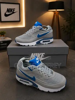 Original Airmax BW Grey/Blue