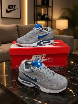 Original Airmax BW Grey/Blue