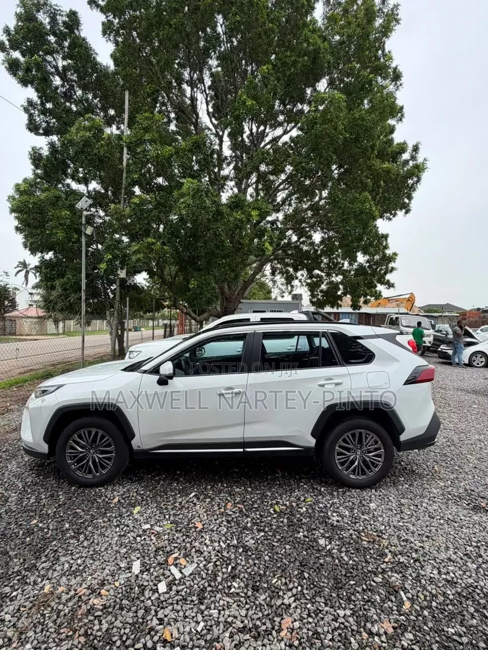 Toyota Venza 2024 White