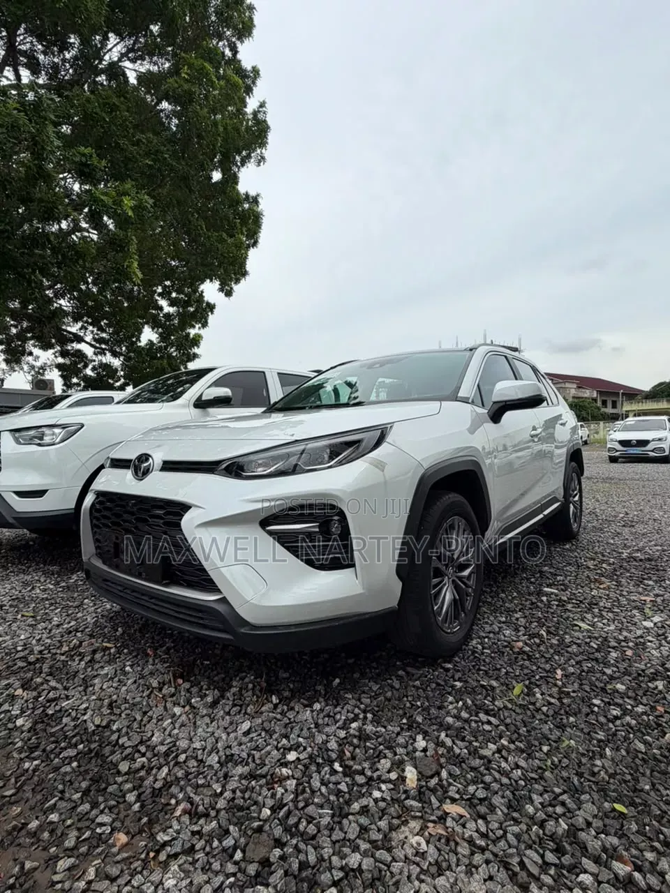 Toyota Venza 2024 White