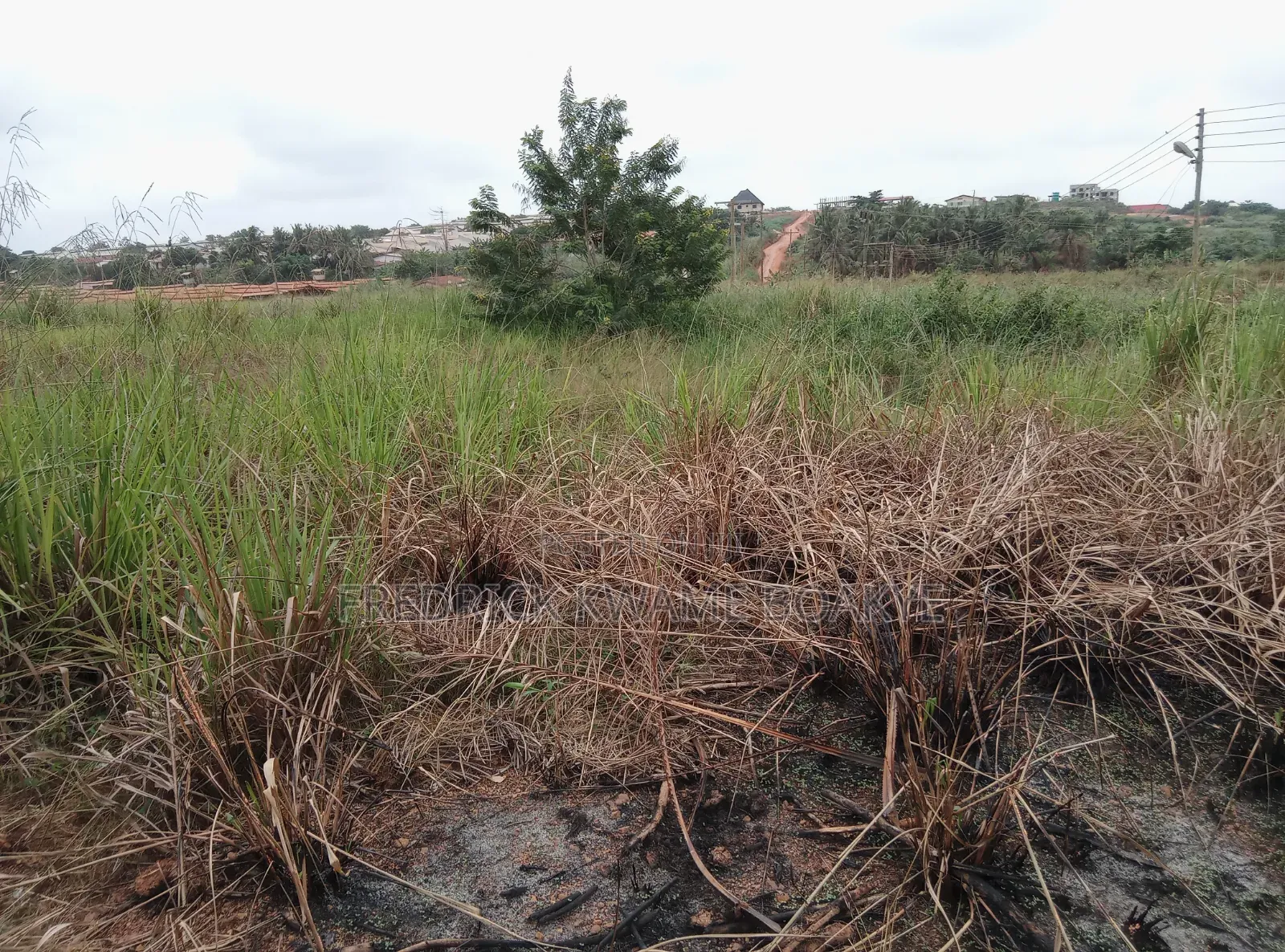 Estate 2 Acres of Lands for Sale at Atwima Twedie