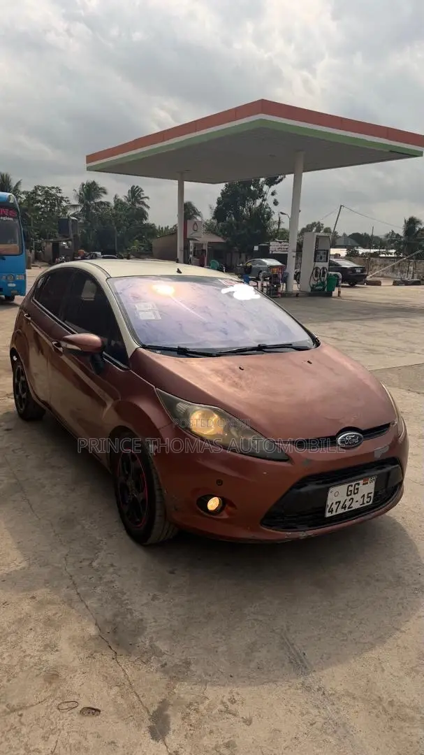 Ford Fiesta 2010 Brown