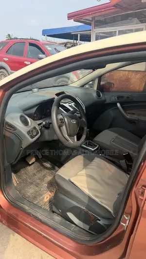 Ford Fiesta 2010 Brown
