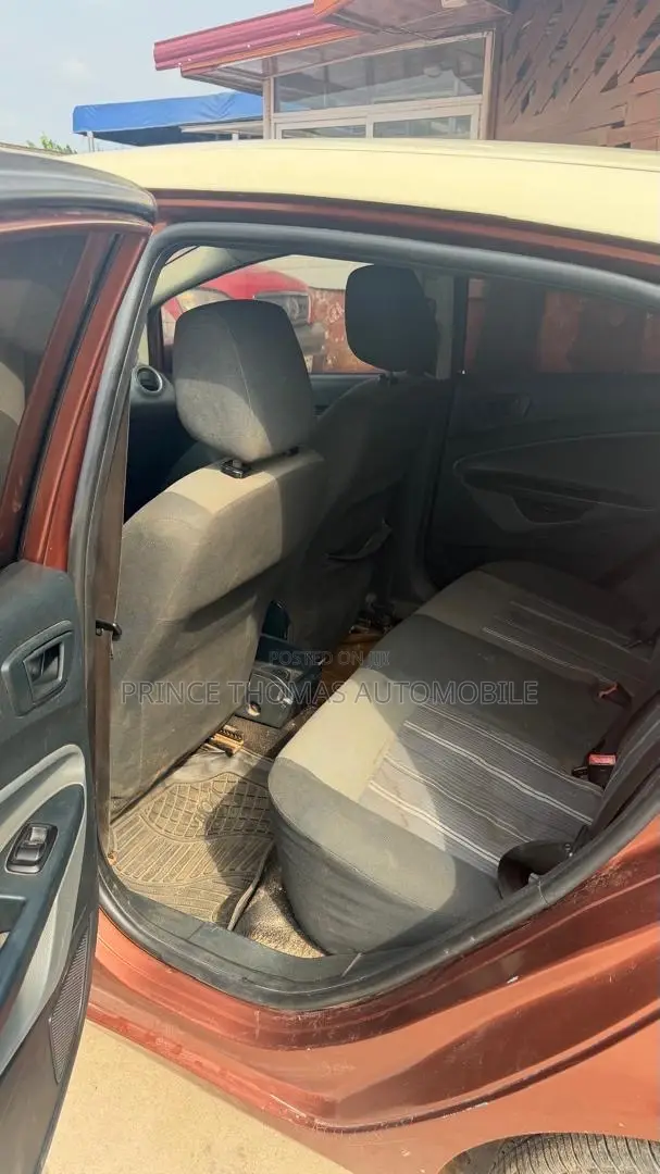 Ford Fiesta 2010 Brown