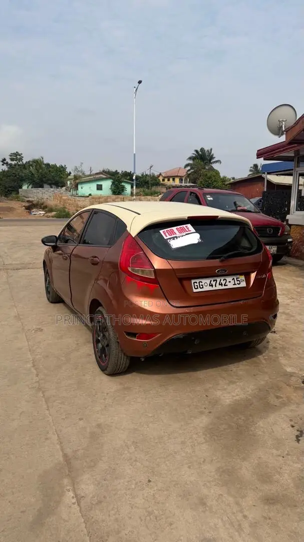 Ford Fiesta 2010 Brown