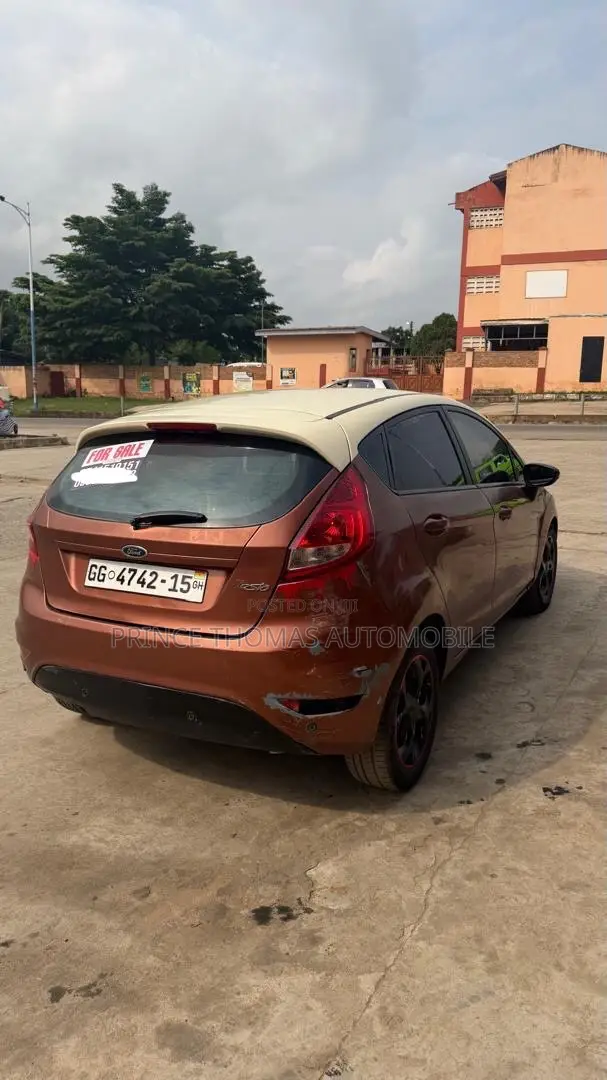 Ford Fiesta 2010 Brown