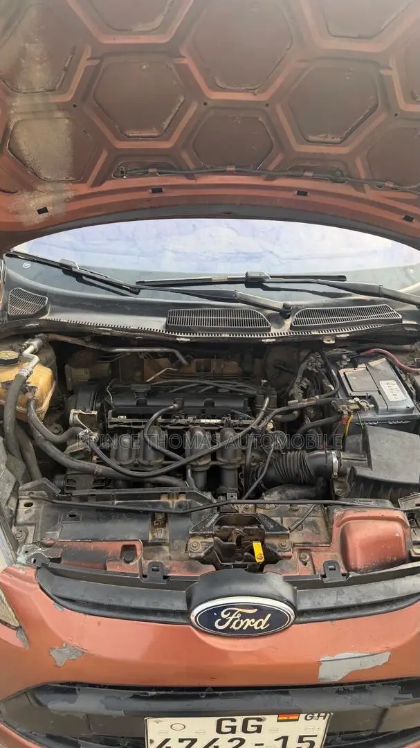 Ford Fiesta 2010 Brown
