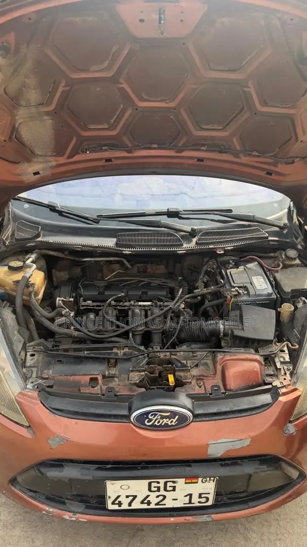 Ford Fiesta 2010 Brown