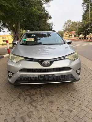 Toyota RAV4 XLE 4dr SUV (2.5L 4cyl 6A) 2018 Gray