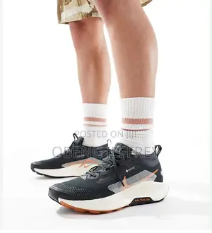 Original Nike Pegasus Trail 5 Goretex