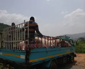 Fresh Pork Available