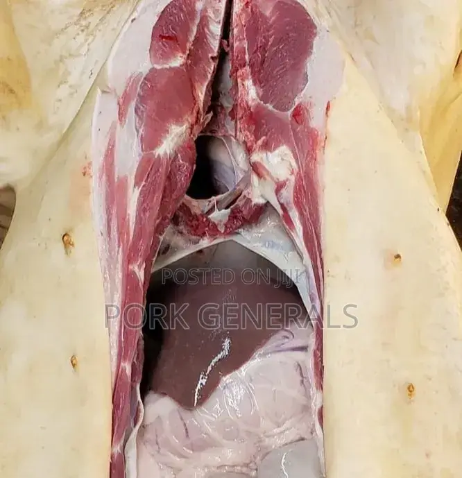 Healthy Fresh Pork Available