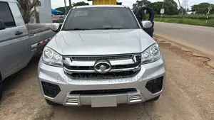 Great Wall Pao 2022 Silver