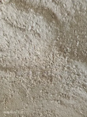 Oyster Shells