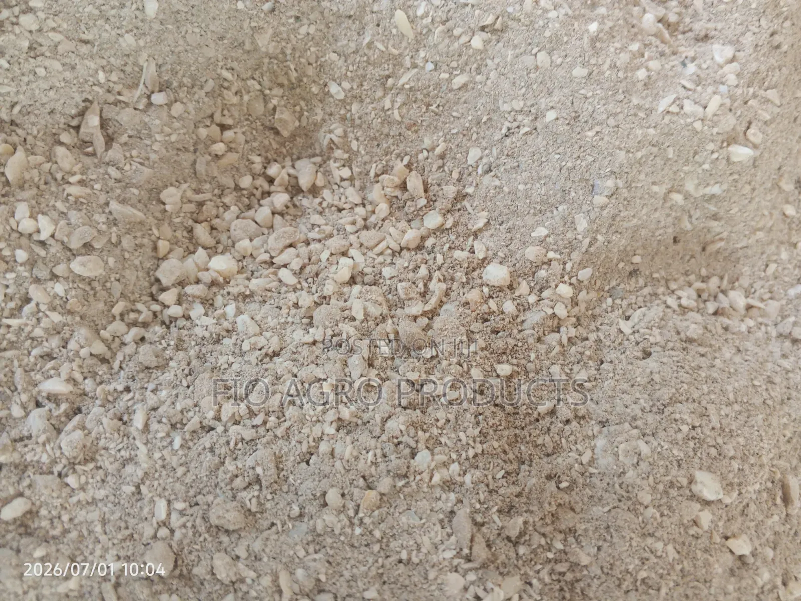 Oyster Shells