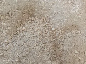 Oyster Shells