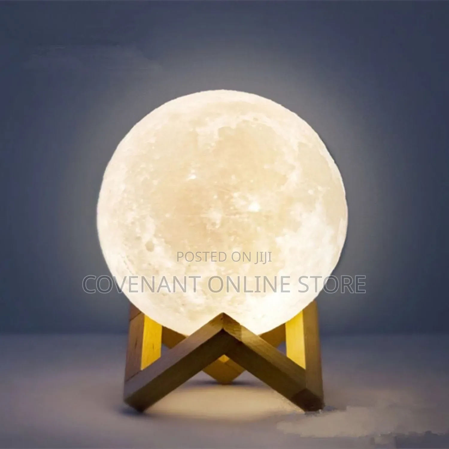 Round Bulb Moon Light