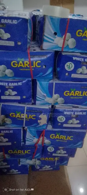 Fresh Garlic