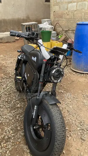 Himoto Electric Bike