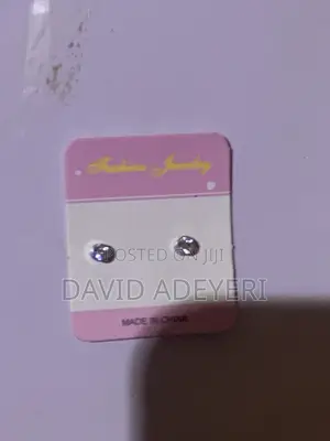 Magnetic Earring