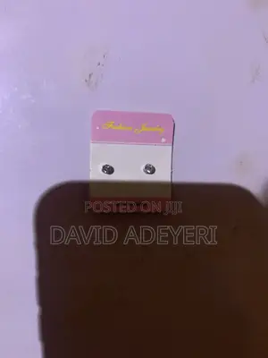 Magnetic Earring