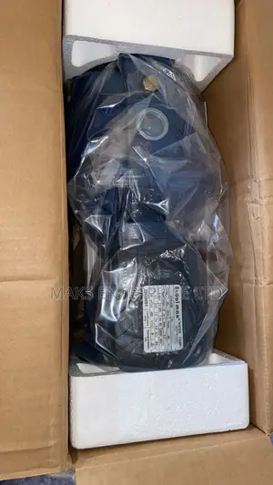 Electric Water Pump With a Booster