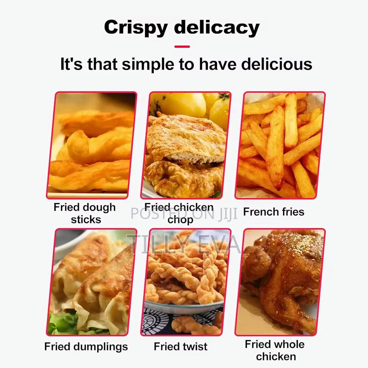 Electric Deep Fryer