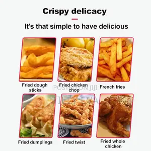 Electric Deep Fryer