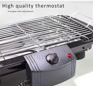 Mini Electric Barbecue Grill