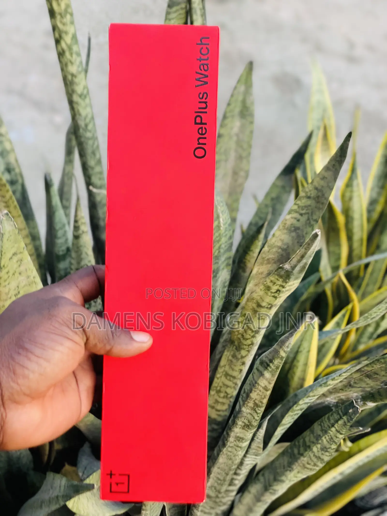 1Plus Watch Available