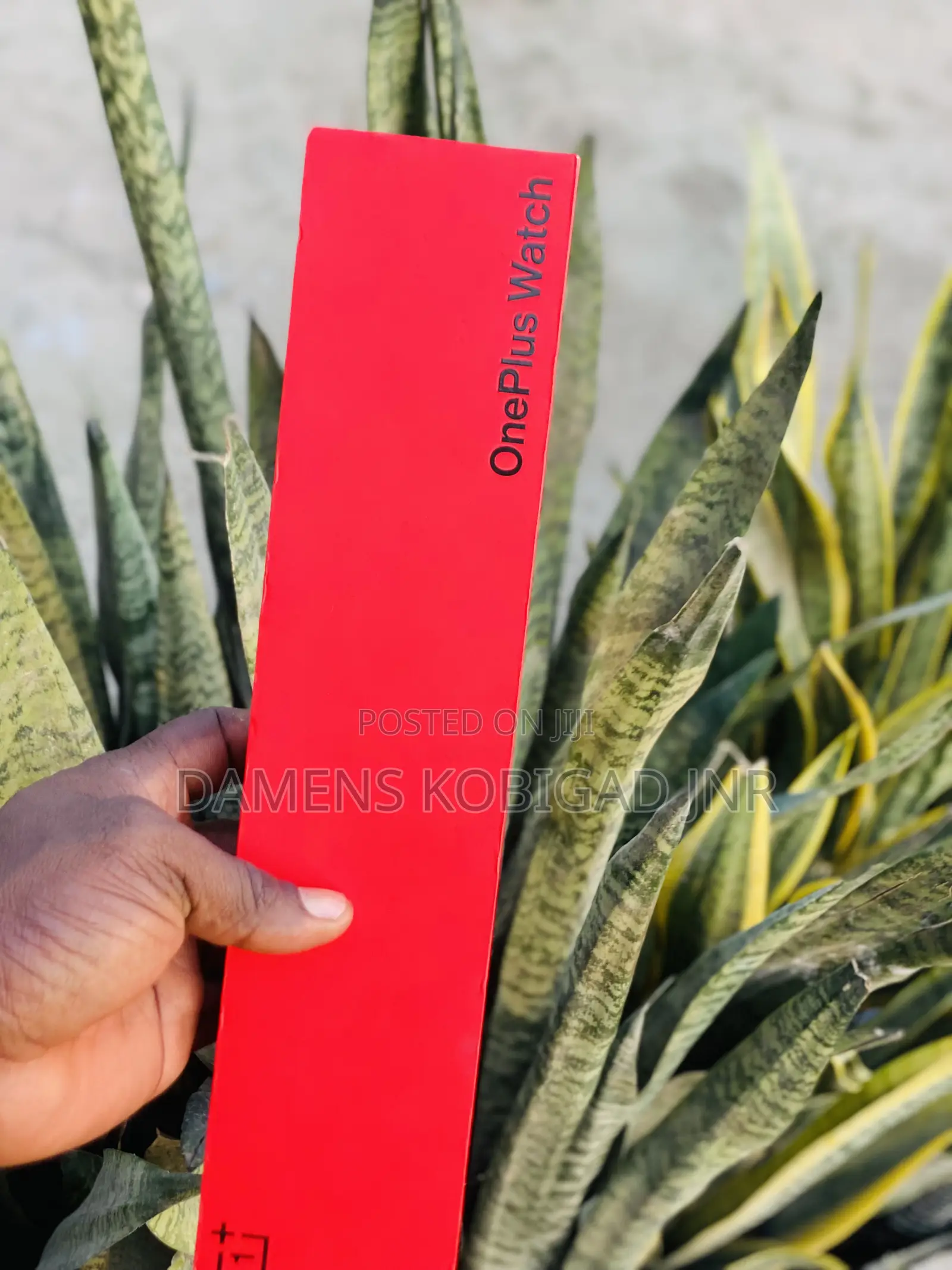 1Plus Watch Available
