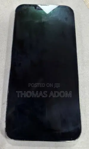 Apple iPhone 13 Pro Max 256 GB Gray