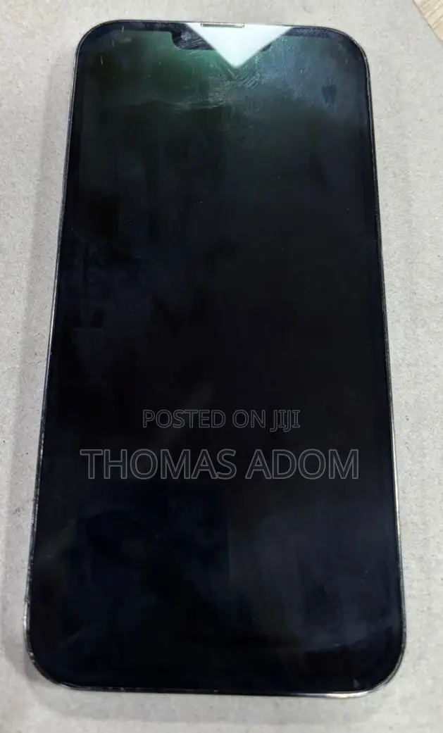 Apple iPhone 13 Pro Max 256 GB Gray
