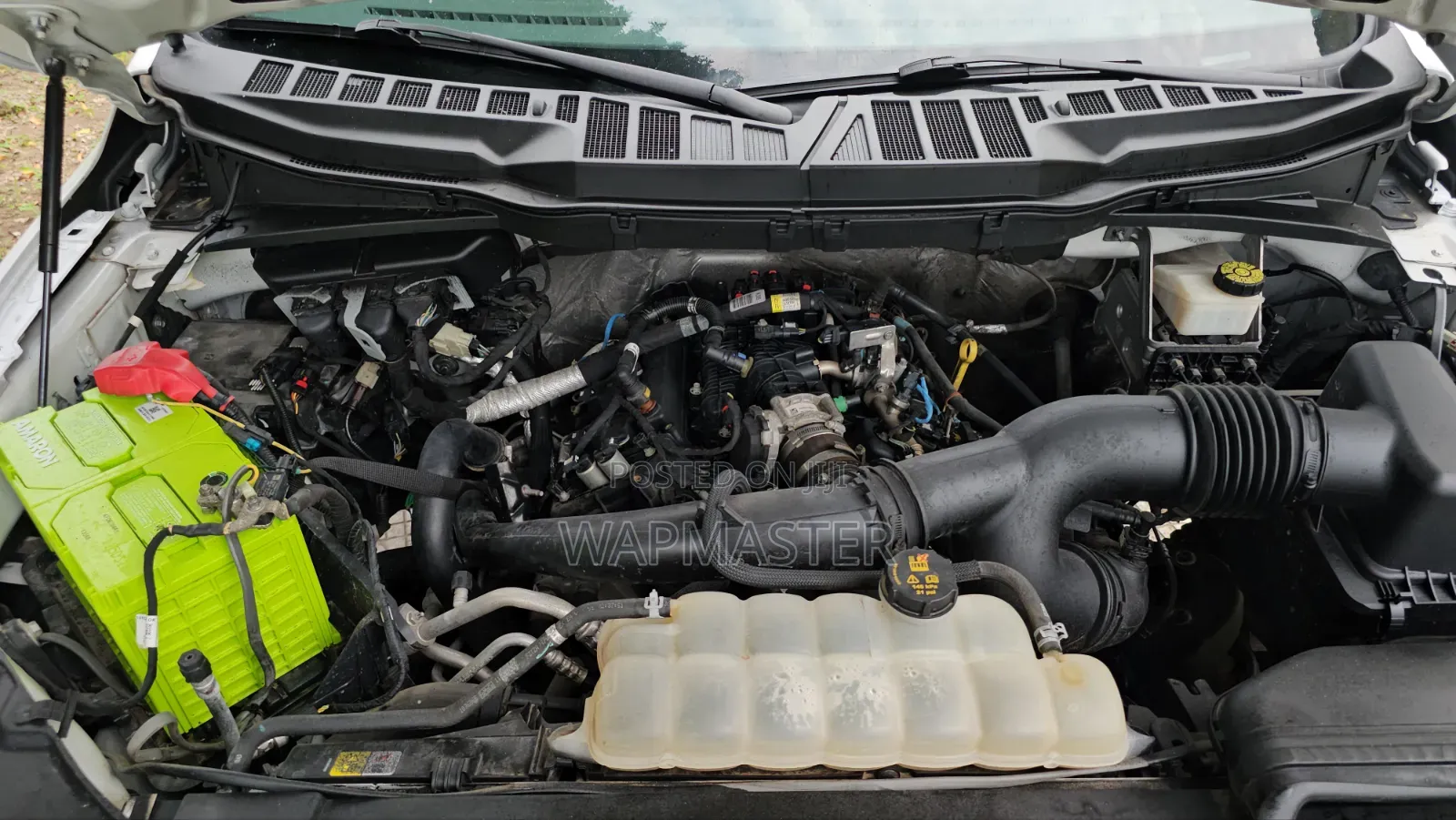 Ford F-150 2021 White