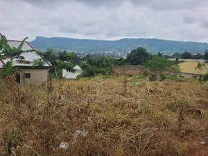 Plots of Land With 3bed Room Foundation Building and Houses for Sale.