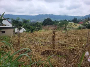 Plots of Land With 3bed Room Foundation Building and Houses for Sale.
